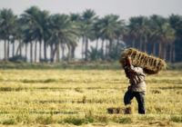 أين بعد النظر؟
