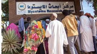 الوحيد في العالم.. الحرب في السودان تدمّر مركز أبحاث المايستوما